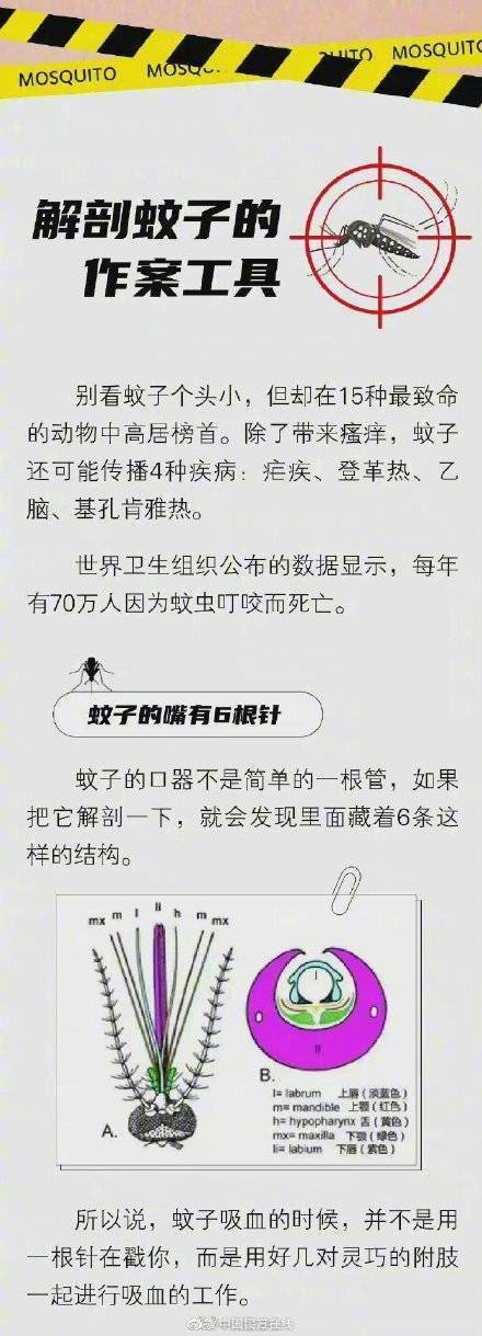 什么人更招蚊子喜欢？为什么肥胖人群更易被蚊子叮咬(图1)