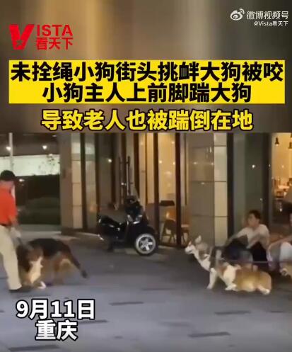 小狗挑衅大狗 男子踹大狗致老人摔倒(图1)