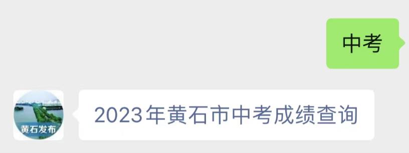 2023年黄石中考成绩查询www.hssedu.cn黄石教育网官网(图4)