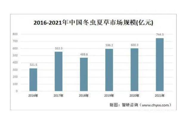 人工种植的冬虫夏草究竟是“仙草”还是“妖草”？ (图6)